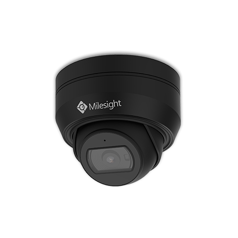 2MP AF Motorized Mini Dome (MS-C2975-EPB)